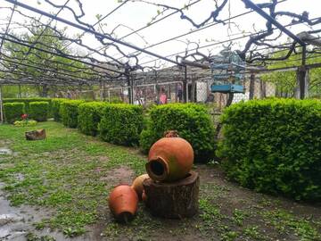 Фото Гостевой дом Barnovi Guest House г. Akhaltsʼikhe 1